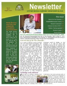 Newsletter-3