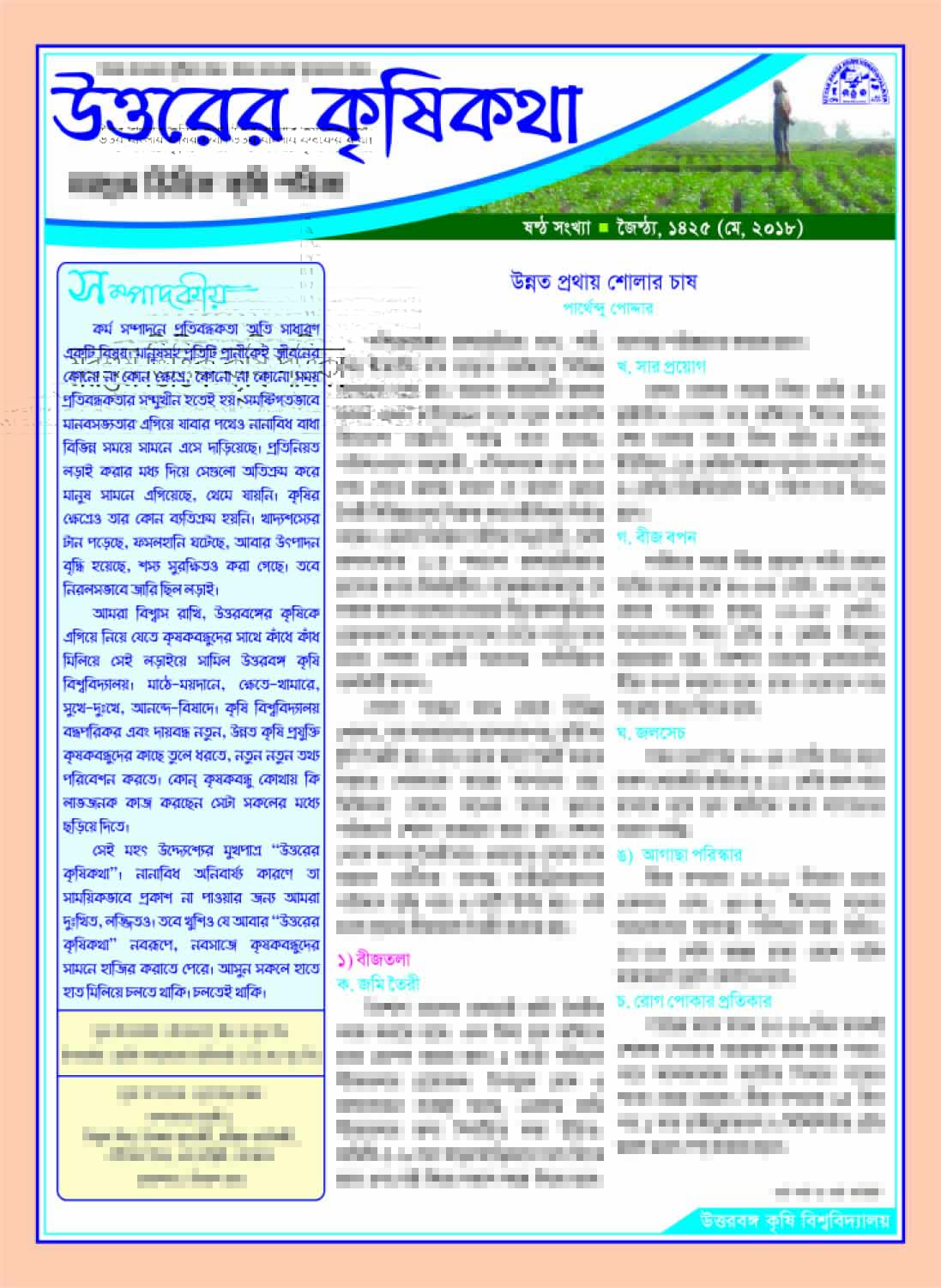 Newsletter-3