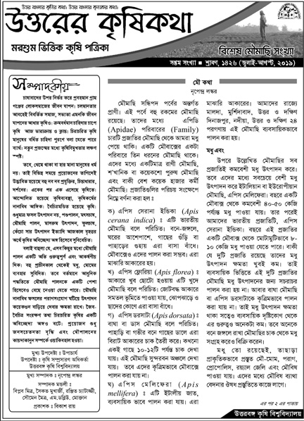 Newsletter-3